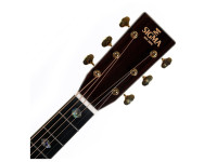 Sigma Guitars DT-41 Sigma Guitars DT-41